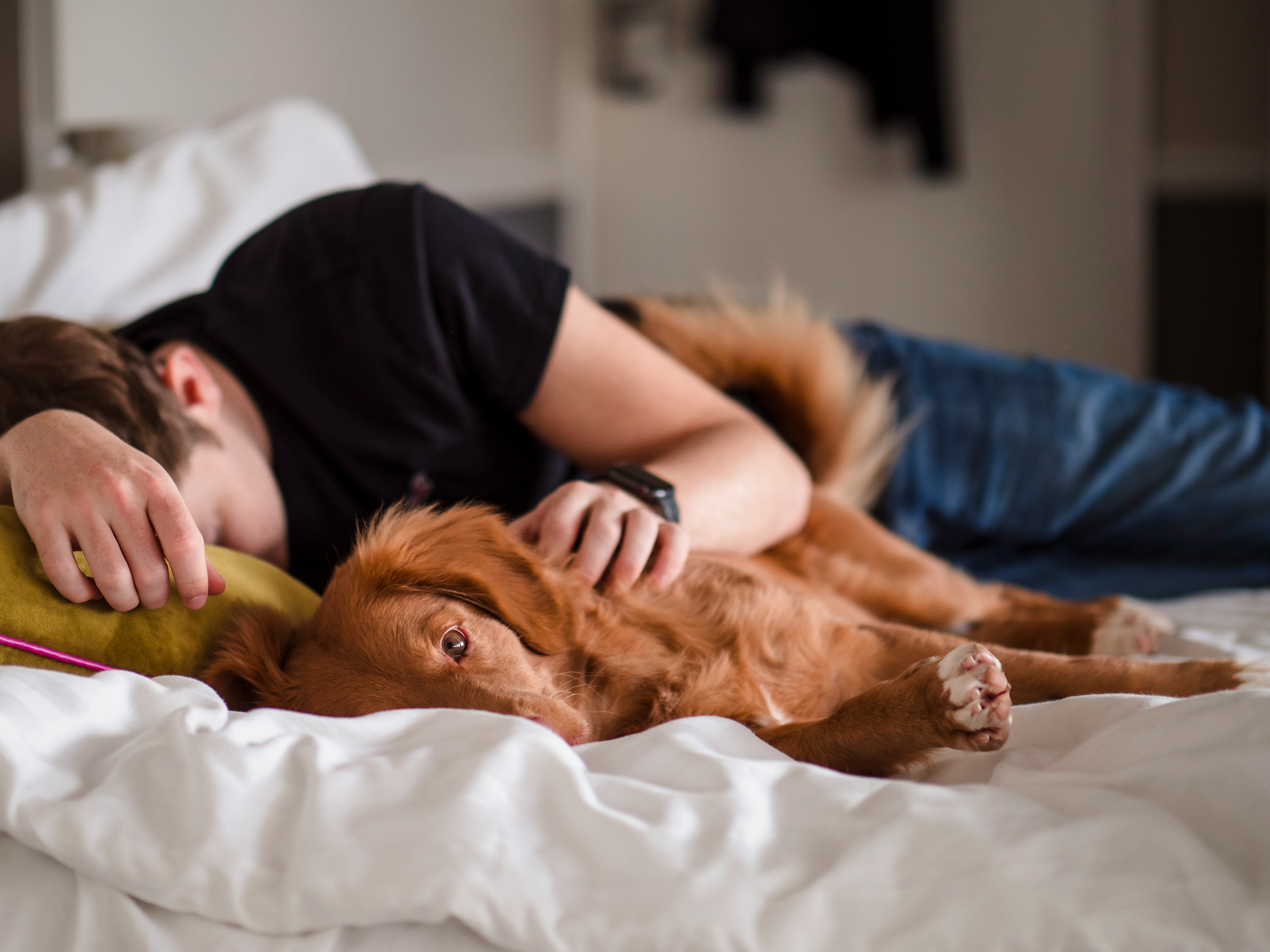 Understanding and Managing Insomnia