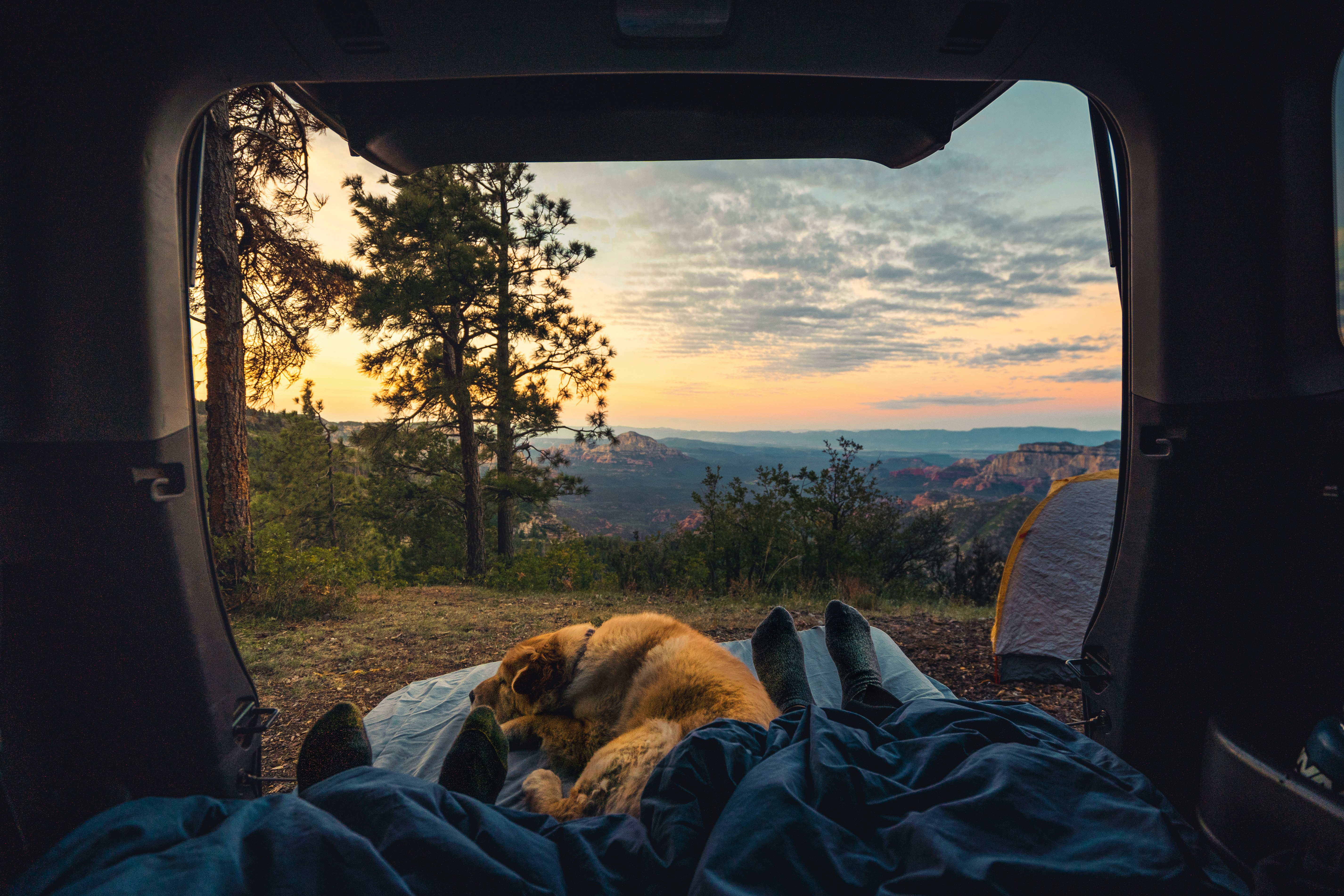 Technology and Sleep: Navigating the Digital Age